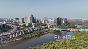 PD0025 - Mangroves in Mithi river mumbai