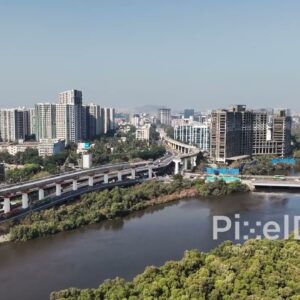 PD0025 - Mangroves in Mithi river mumbai