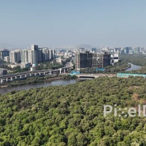 PD0024 - Mangroves in Mumbai near Bandra and Mahim bay