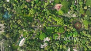PD0529 - Birds-Eye View of a Lush Botanical Garden and Zoo Layout