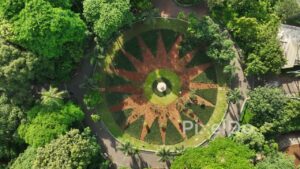 PD0526 - Geometric Garden Design: Birds-Eye View of a Sunburst Pattern
