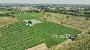PD0619 - Aerial View of Lush Green Farmland in the Countryside