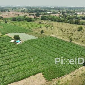PD0619 - Aerial View of Lush Green Farmland in the Countryside