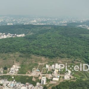 PD0595 - Urban Encroachment: City Meets Forest on a Hazy Day
