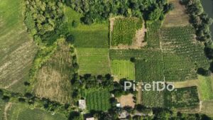 PD0622 - Abstract Patterns of Agriculture: A Birds-Eye View of Green Fields