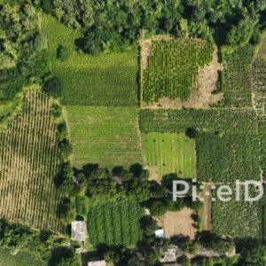 PD0622 - Abstract Patterns of Agriculture: A Birds-Eye View of Green Fields