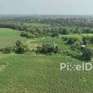PD0621 - Flying Over a Patchwork of Green Agricultural Fields