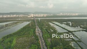 PD0738 - High Aerial View of the Mulund-Airoli Bridge and Mangrove Wetlands