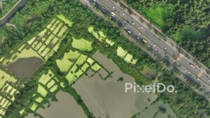 PD0121 - Aerial View of Mumbai's Eastern Express Highway Flanked by Mangroves and Salt Pans