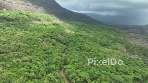 PD0118 - Aerial Flight Over a Dense Green Forest in a Moody Mountain Landscape