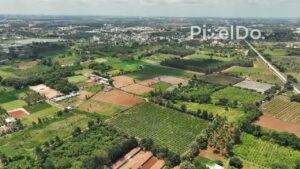 PD0175 - Aerial View of a Diverse Agricultural Landscape in Rural India