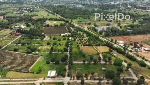 PD0173 - Aerial View of Farm Land in the Indian Countryside
