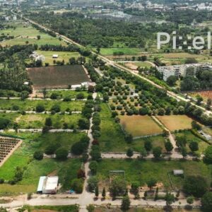 PD0173 - Aerial View of Farm Land in the Indian Countryside