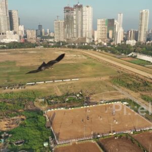 PD0252 - Aerial View of Horse Riding at Mahalaxmi Racecourse with the Mumbai Skyline