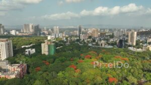 PD0374 - Mumbai's Green Oasis: Aerial View of the Lush IIT Powai Campus