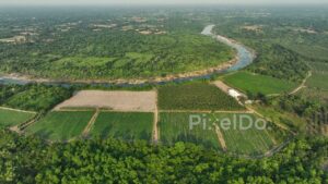 PD0349 - Aerial View of a Serene River and Farmland in the Indian Countryside