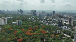 PD0428 - Urban Greenery and Metro Construction near IIT Bombay