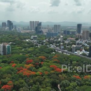 PD0428 - Urban Greenery and Metro Construction near IIT Bombay
