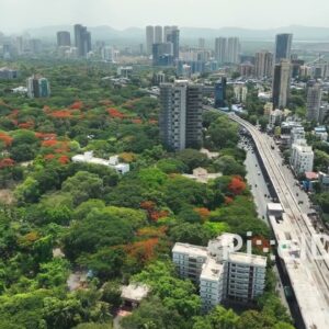 PD0427 - Urban Greenery and Metro Construction near IIT Bombay