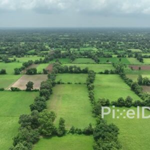 PD0409 - Aerial View of a Lush Green Patchwork of Farmland in the Indian Countryside