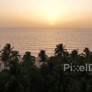 PD0491 - Tropical Sunset Over Mumbai's Palm-Lined Beach