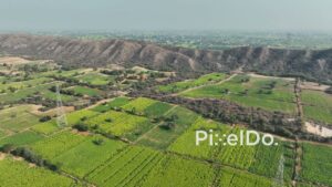 PD0782 - Aerial Flight Over Verdant Agricultural Valley in Rajasthan