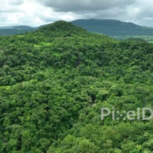 PD0766 - Soaring Over Lush Monsoon Mountains and Forests