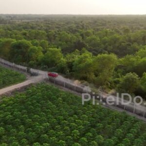 PD0820 - Aerial View of Red SUV on a Scenic Countryside Road