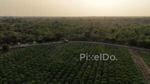 PD0819 - Aerial View of Red SUV on a Rural Road at Sunset