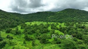 PD0764 - Majestic Aerial View of a Lush Green Valley During Monsoon
