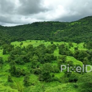 PD0764 - Majestic Aerial View of a Lush Green Valley During Monsoon