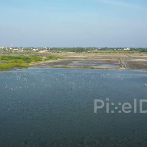PD0975 - Orbiting Drone View of a Coastal Wetland and Bird Sanctuary