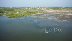 PD0971 - Aerial Drone Orbits a Coastal Wetland Teeming with Birds