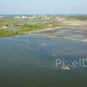 PD0971 - Aerial Drone Orbits a Coastal Wetland Teeming with Birds