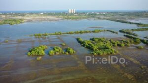 PD0969 - Scenic Aerial Orbit of a Coastal Mangrove Wetland