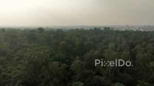 PD0798 - Aerial Pan of an Urban Forest with a City Skyline in the Background