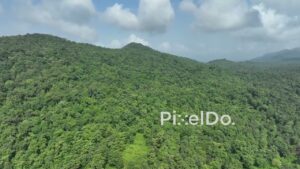 PD1034 - Aerial Flight Over Dense Green Mountain Forest