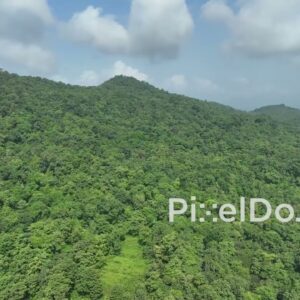 PD1034 - Aerial Flight Over Dense Green Mountain Forest