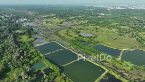 PD1080 - Aerial Drone Pan Over Aquaculture Ponds and Coastal Wetlands