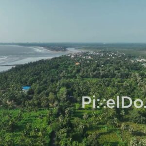 PD1075 - Aerial Drone Rise Over Tropical Coastal Village and Palm Tree Forest