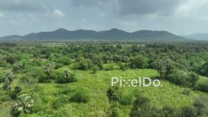 PD1052 - Aerial Drone Flight Over Scenic Green Valley and Mountain Range