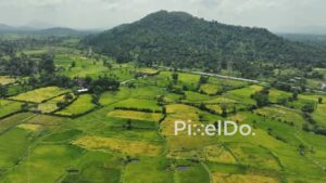 PD1049 - Aerial Drone Flight Over Paddy Fields Towards Forested Mountain