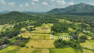 PD1047 - Aerial Drone Flight Over Green Paddy Fields and Mountain Valley